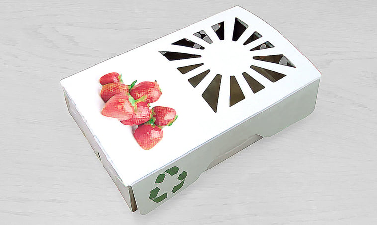 Fruit-Cartons