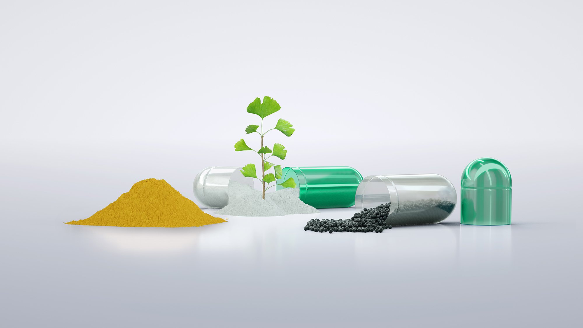 Ginkgo powder, pellets, and capsules illustrating different nutraceutical dosage forms.