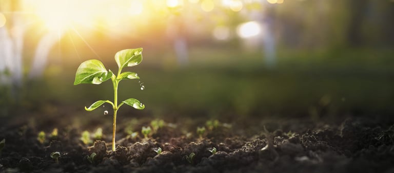 plant-header
