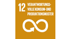 Verantwortungsvolle Konsum- und Produktionsmuster